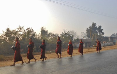 monks in the mornimg mist